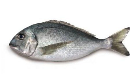 Wild Sea Bream Whole cleaned 500g For Cheap