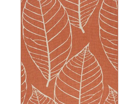 3X5 Kalora Coast 4402_8Z02B Rug Online Hot Sale