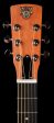 Used Dobro Hound Dog Deluxe Round Neck Guitar Online