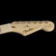 Fender Artist Series Eric Clapton Stratocaster Black Online now