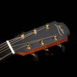 Lowden S-35 WA RC Acoustic Natural Walnut Online